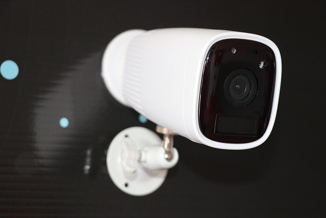 Videoueberwachung-netzwerkkameras-ip-ueberwachungskameras-dome-bullet-ptz